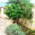 Aero Kefalonia Villa Lakíthra