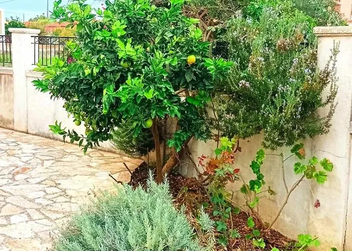 Aero Kefalonia فيلة Lakíthra