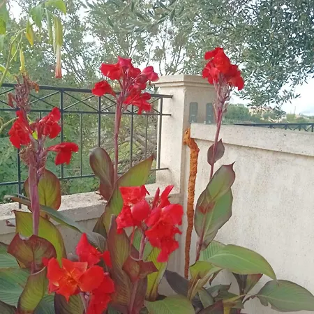 Aero Kefalonia Villa *