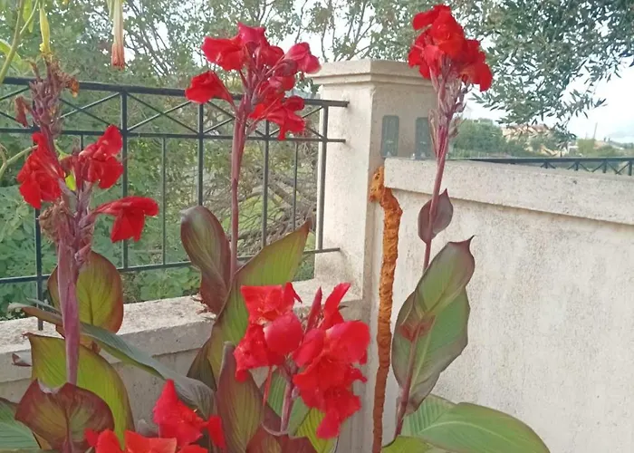 Aero Kefalonia Βίλα *